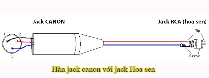 Hàn jack canon với jack hoa sen